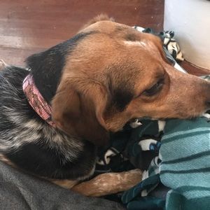 Meet your Posher, Sami